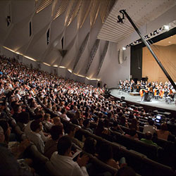 Fimucité