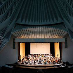 Fimucité