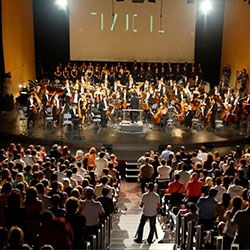Fimucité